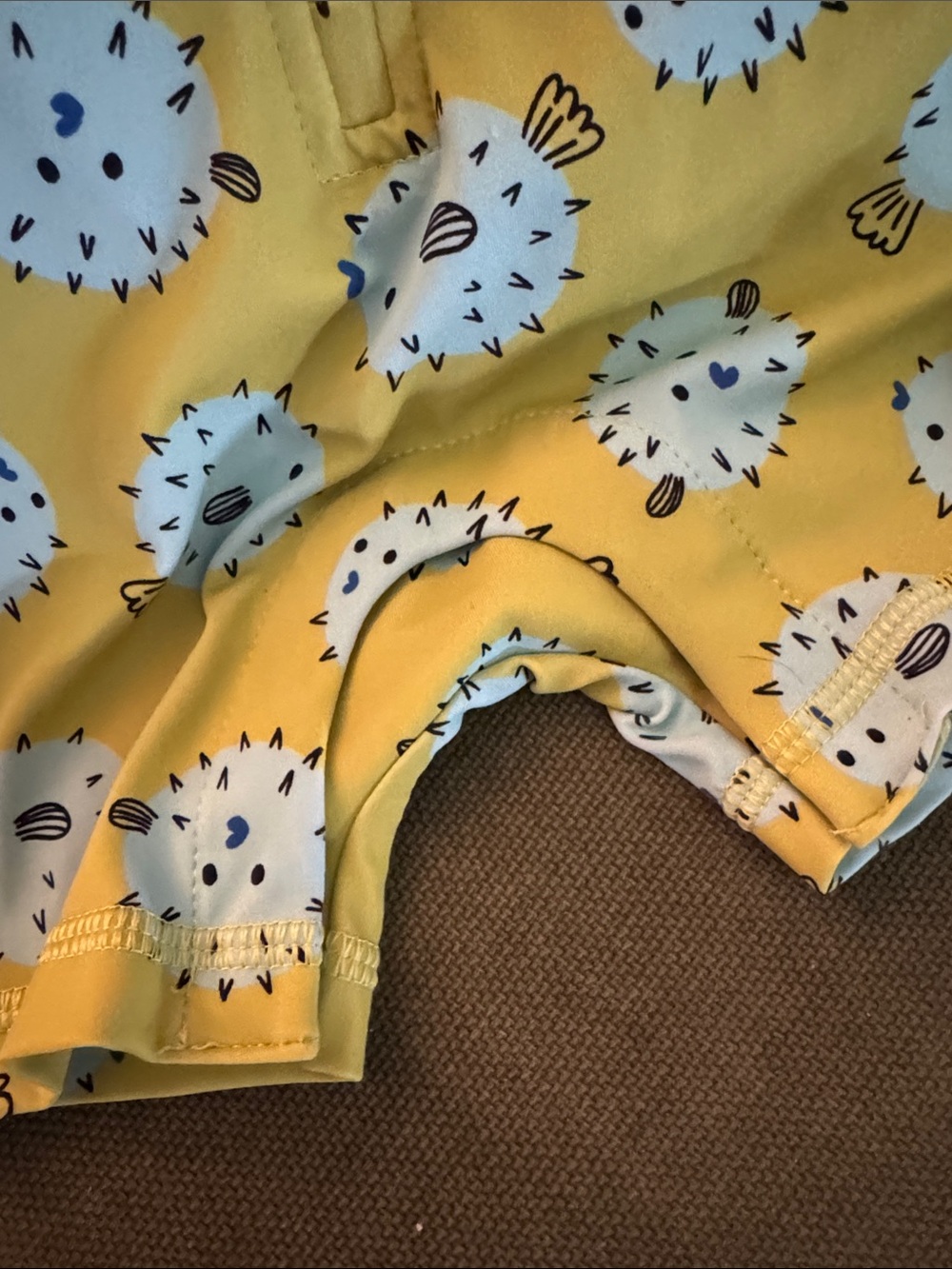 Hanna Andersson Blue and Green Pufferfish Print Swim - Picture 6 of 6